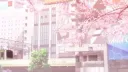 🌸𝐒𝐚𝐤𝐮𝐫𝐚 𝐒𝐚𝐧𝐜𝐭𝐮𝐚𝐫𝐲🌸 server banner