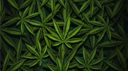 Greenie's Garden server banner