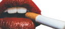 Society of Honor | 16 + Discord server banner