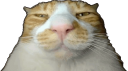 not in use Discord server banner
