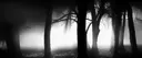 ⟡ ݁₊ . /echo ˚ ༘ ೀ⋆。˚ Discord server banner