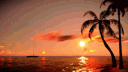 /idek banner