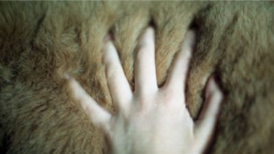 paw fetish Discord server banner