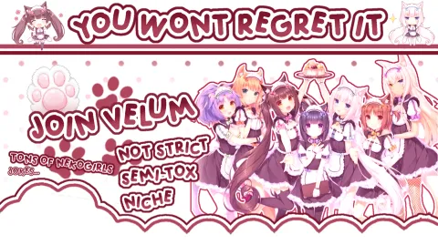 /velum banner