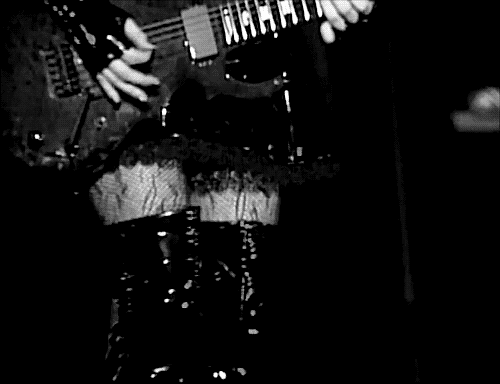 /velum Discord server banner