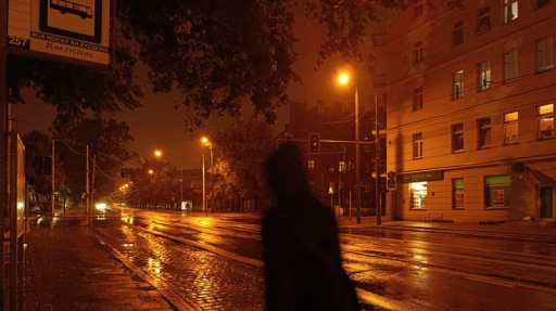 ۶ৎ𝑇ℎ𝑒 𝑁𝑖𝑔ℎ𝑡 𝑊𝑎𝑙𝑘۶ৎ Discord server banner