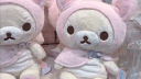blossoms banner