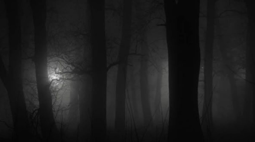 /chollo Discord server banner