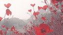 〃𝒔𝒐𝒓𝒂𝒔𝒌𝒚 • 𝒔𝒕𝒐𝒙 • 𝒂𝒄𝒕𝒊𝒗𝒆 𝒄𝒉𝒂𝒕𝒔 • 𝒗𝒄𝒔 Banner