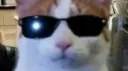 the Corner™ server banner