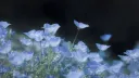 ☄ ⏤͟͟͞͞  ... ☆ 𝚋ˡ𝔲ᴇꩇׁׅ֪݊ იᨵׁׅׅⁿ ꉣ𝒶𝕧ꪱׁׁׁׅׅ𝓁іＯ𝔫  .. 🫐 ♡ . J2L=BAN banner