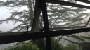 pierced ; Discord server banner