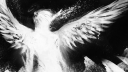insxmnia server banner