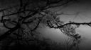 Polluted Paradise server banner