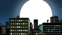 🗯┋𝑺𝑨𝑵𝑪𝑻𝑼𝑨𝑹𝒀 ˳ᐟ server banner