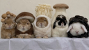 rawr server banner