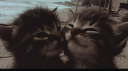 𝖙𝖍𝖊 𝖇𝖆𝖘𝖊𝖒𝖊𝖓𝖙ᶻ𝗓𐰁 server banner