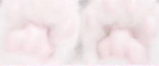 /pawbeans • ask2dm • sfw • egirls Discord server banner