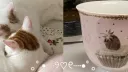 .𖥔 ݁ ˖╭ ┆ Kitty café ╰⊹ ࣪ Discord server banner