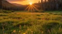 ⛲ Elemental Meadows ⛲ Discord server banner