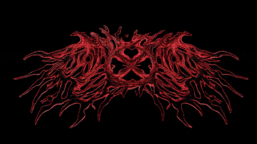 @ trends Discord server banner