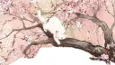 🐈 Kat’z Lounge !    ࿐  ᰔ  pfps.      Icons.      Emotes.      Decor. server banner