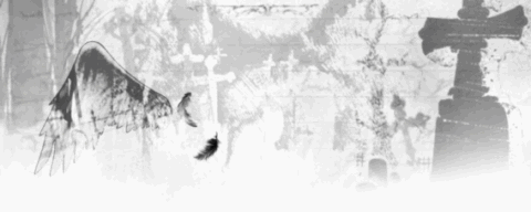 ZULUM #ORTALIK banner