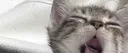 ꪜortex | 15+ Discord server banner