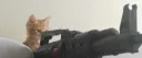/D3ADEND server banner