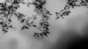 /symbolic banner