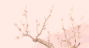 /relapsed banner