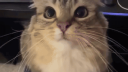 /then banner