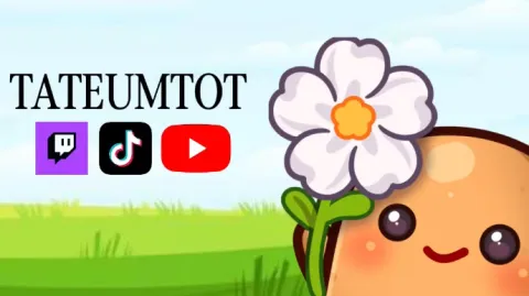 tatertots banner