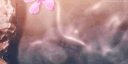wuhh banner