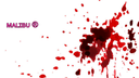 Malibu ® server banner
