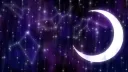 Starlight Society ࣪𖤐⋆ Discord server banner