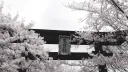 ͡   /𝚊𝚞𝚛𝚎𝚕𝚒𝚊  ˖   ◞ ۫   ۪ ◟ ͜♡   •       scl    •      icons  •     semi-active server banner