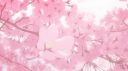 ゛ fluffy αngels #mαin us ⸝⸝   .ᐟ 𑣲 server banner
