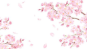 🌸︵kpop rp ! ◌Ⳋ𝅄 🌸 server banner