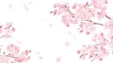 🌸︵kpop rp ! ◌Ⳋ𝅄 🌸 server banner