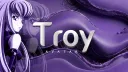 Troy banner