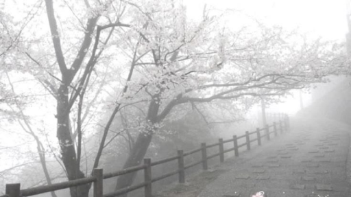 hi Discord server banner