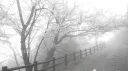 hi Discord server banner