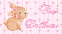 rae’s dollhouse ୨୧ server banner