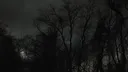 rise banner