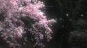 ❥ Rosemire  ୨˚̣̣̣୧﹒ server banner