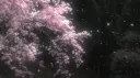 ❥ Rosemire ୨˚̣̣̣୧﹒ Discord server banner