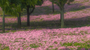 Glory ⋆ server banner