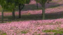 Glory ⋆ server banner