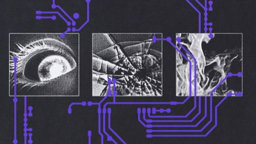 : // 𝕄𝕀𝔻ℕ𝕀𝔾ℍ𝕋 ℂℝ𝕀𝕊𝕀𝕊 Discord server banner